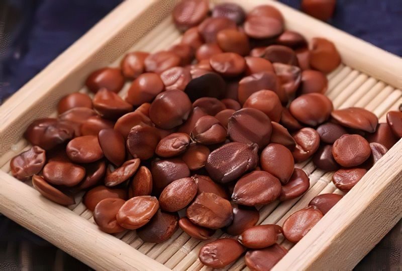 Ảnh nhận diện Toan Táo Nhân