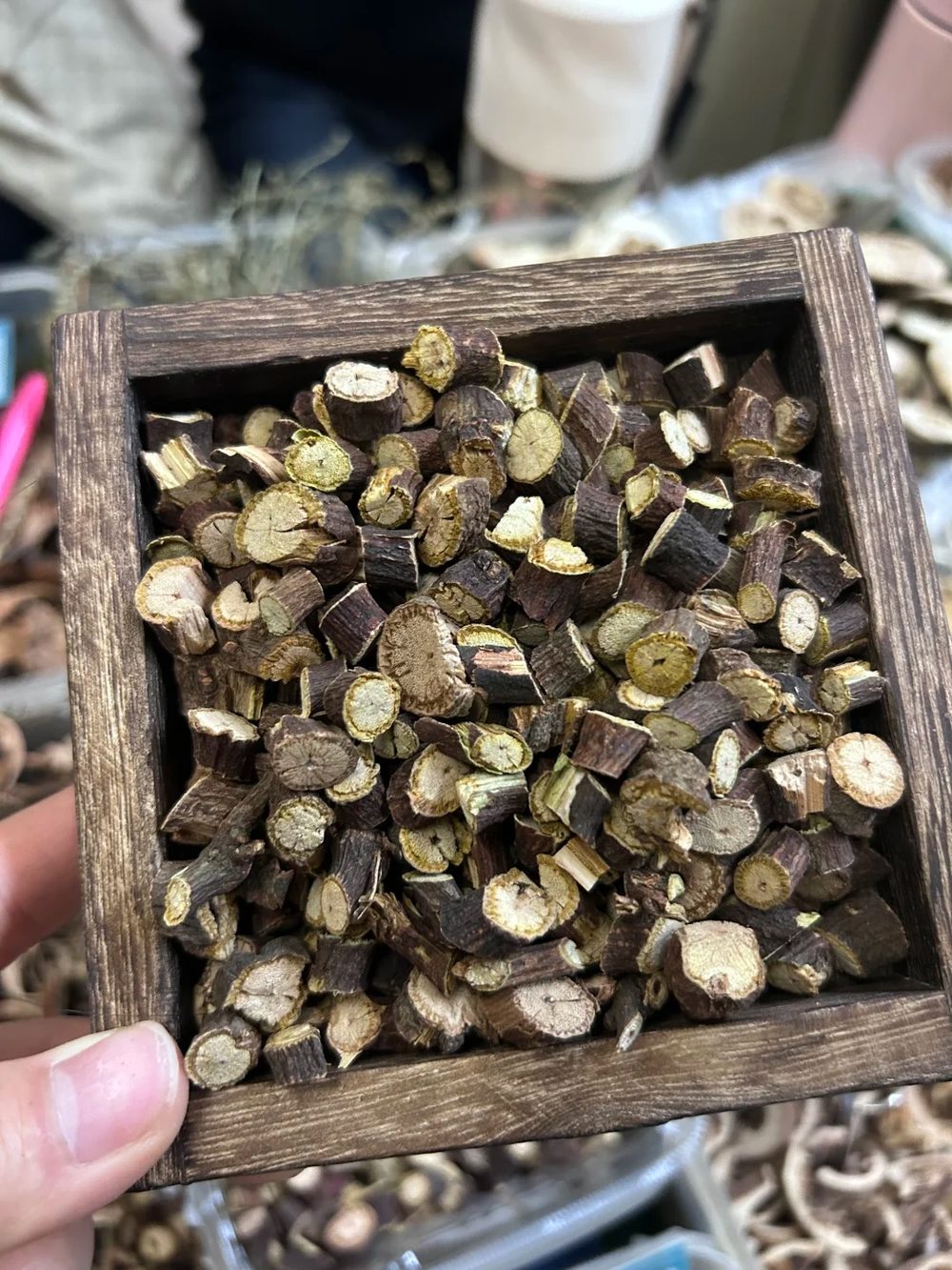 Ảnh nhận diện Dạ Giao Đằng