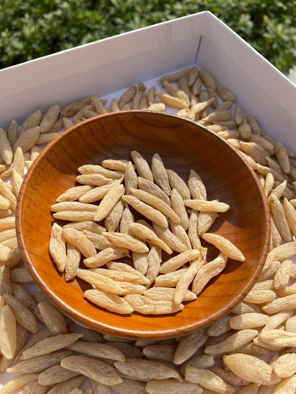 Ảnh nhận diện Mạch Môn