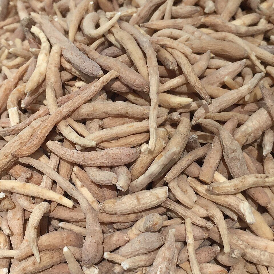 Ảnh nhận diện Thái Tử Sâm
