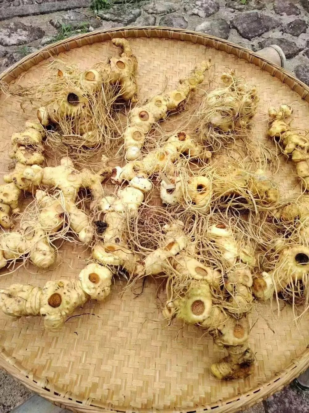 Ảnh nhận diện Hoàng Tinh