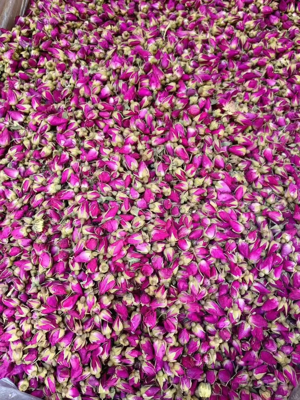 Ảnh nhận diện Hoa Hồng