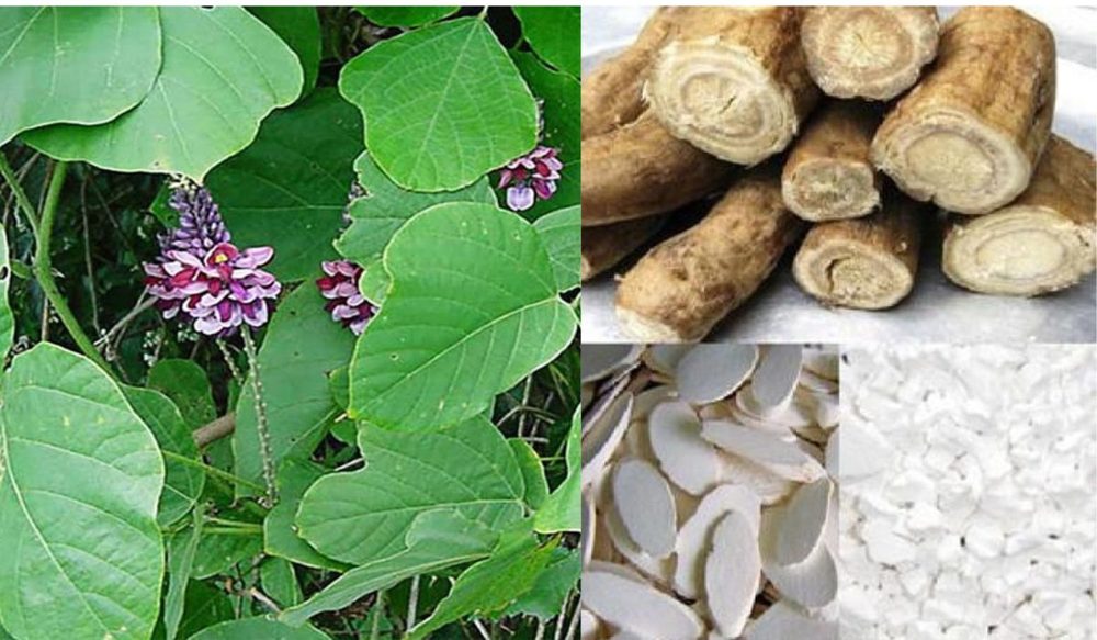 Ảnh nhận diện Cát Căn