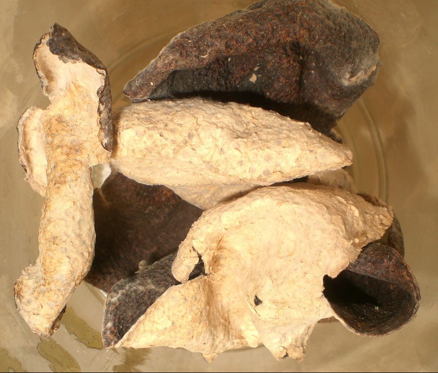 Ảnh nhận diện Trần Bì