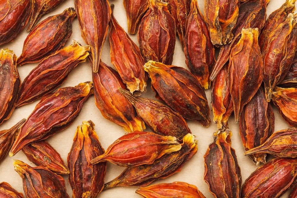 Ảnh nhận diện Chi Tử