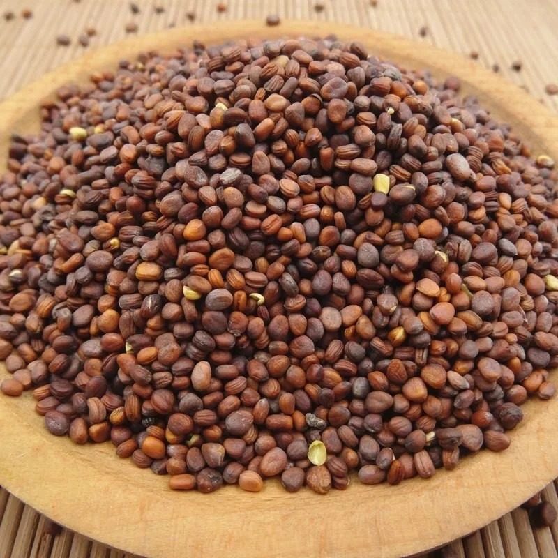 Ảnh nhận diện Lai Phục Tử
